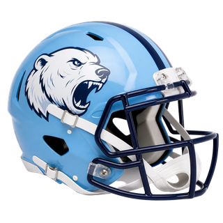 Alaska Lookouts helmet