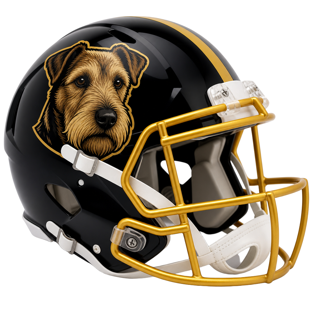 Toledo Terriers helmet