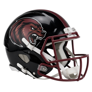 West Hartford Wolverines helmet