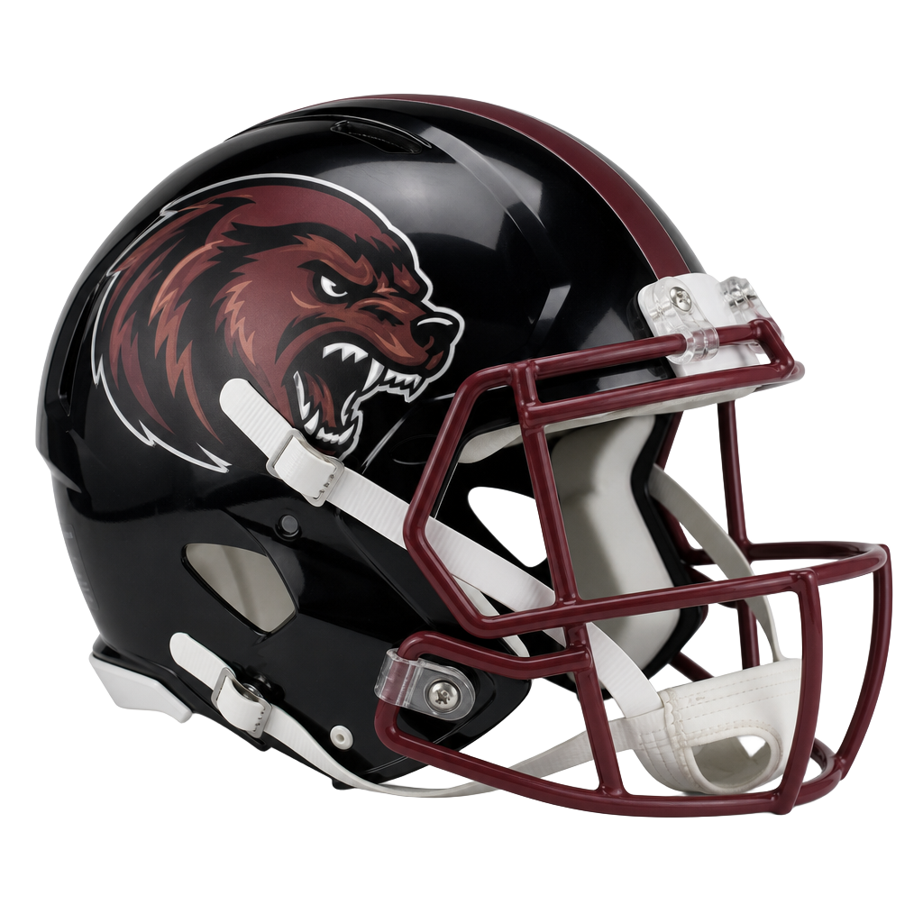 West Hartford Wolverines helmet